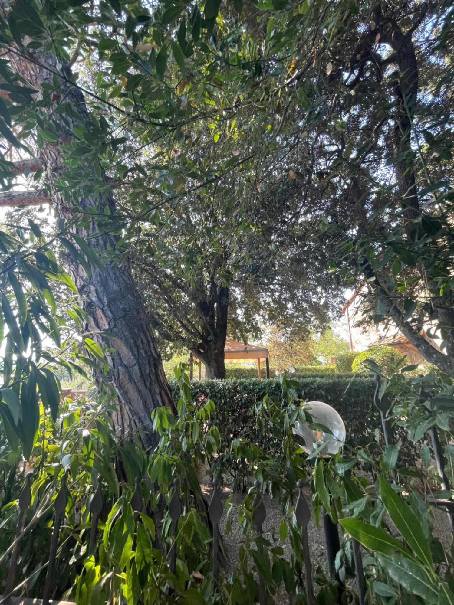 Intero Appartamento Con Private Pool E Jacuzzi Podere Settefrati Montaione Εξωτερικό φωτογραφία